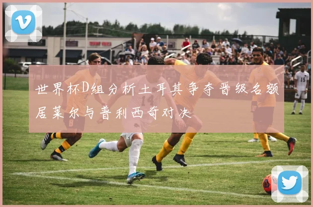 世界杯D组分析土耳其争夺晋级名额居莱尔与普利西奇对决