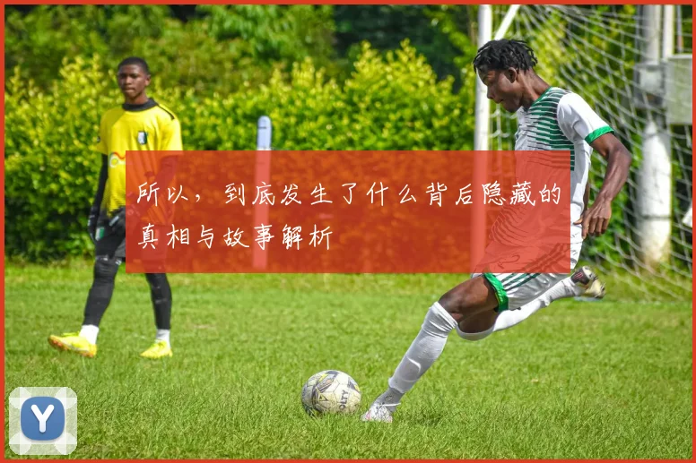 所以，到底发生了什么背后隐藏的真相与故事解析